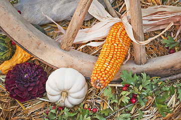 Image showing decoration for thanksgiving