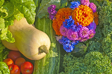 Image showing decoration for thanksgiving