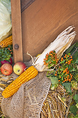 Image showing decoration for thanksgiving