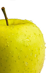 Image showing apple