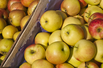 Image showing apples in a box