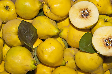 Image showing quince