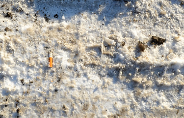 Image showing Winter snow path closeuo background cigarette butt 