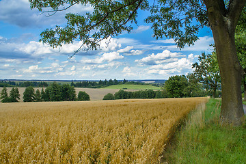 Image showing Rural summer landscape with field,  meadow and forests