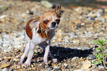 Image showing after bath