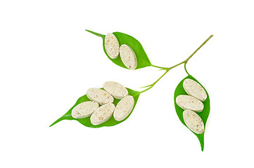 Image showing Natural supplement pills and fresh leaves – alternative medicine concept