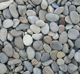 Image showing Grey pebbles on the beach as background 