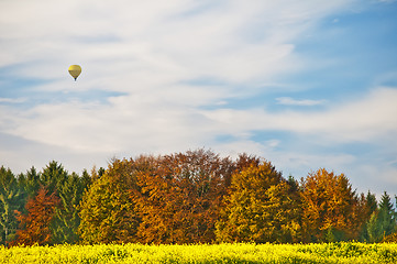 Image showing hot-air balloon with autumnal painted forest