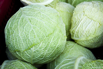 Image showing white kale