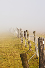 Image showing descending fog in autumn