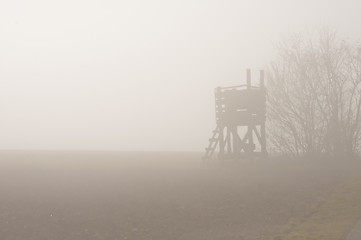 Image showing descending fog in autumn