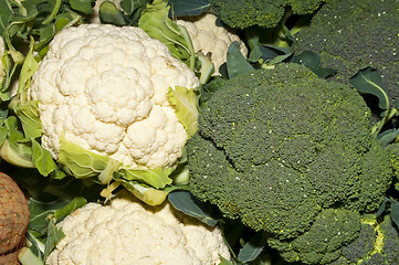 Image showing caulifllower and broccoli