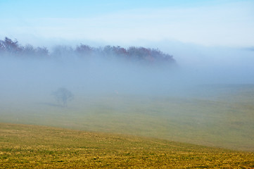 Image showing descending fog in autumn