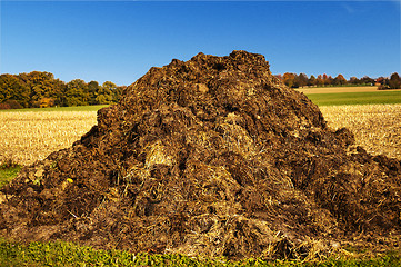 Image showing dung heap