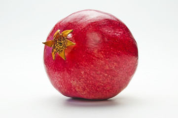 Image showing pomegranate