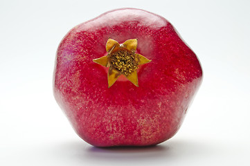 Image showing pomegranate