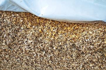 Image showing silage fodder