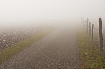 Image showing descending fog in autumn