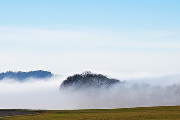 Image showing descending fog in autumn