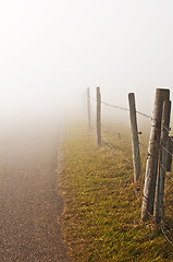 Image showing descending fog in autumn