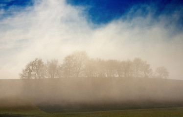 Image showing descending fog in autumn