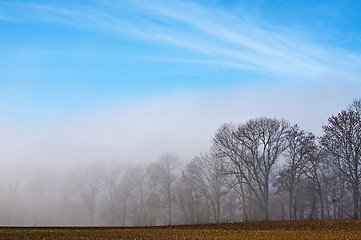 Image showing descending fog in autumn