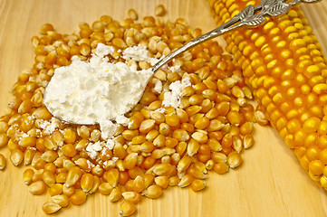 Image showing maize starch