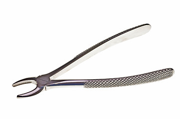 Image showing dental instrument forceps