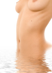 Image showing topless in water