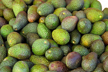 Image showing Avocados