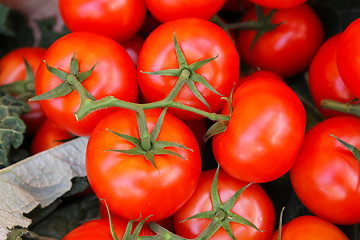 Image showing Tomatoes