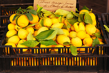 Image showing Lemons