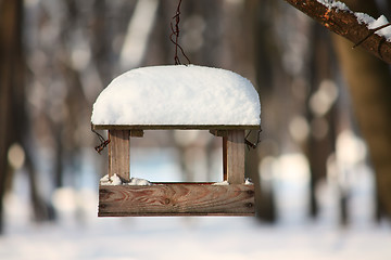 Image showing Feeder for a birds