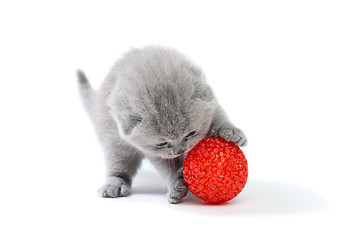 Image showing Little kitten playing with ball