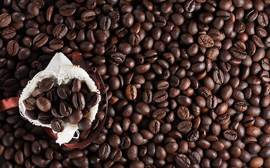 Image showing Coffee beans in a sack