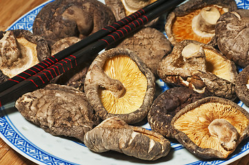 Image showing shiitake mushroom 