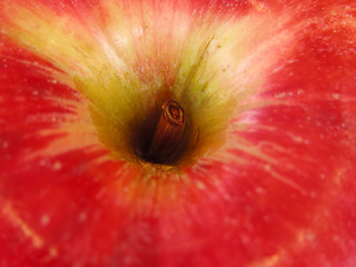 Image showing Abstract apple hole