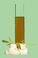 Image showing Stevia rebaudiana, fluid