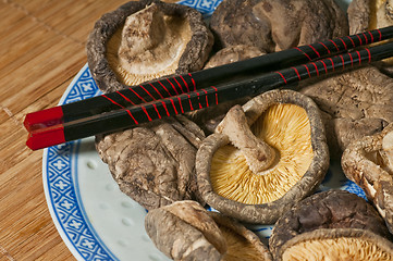 Image showing shiitake mushroom 