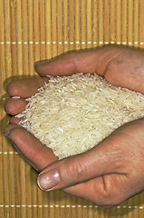 Image showing rice