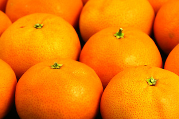 Image showing Oranges