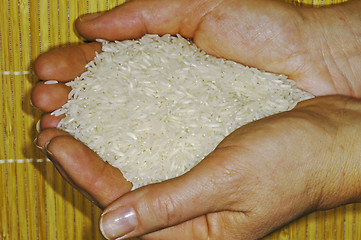 Image showing rice