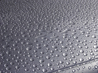 Image showing Drops of water