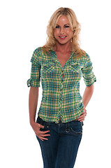 Image showing Green plaid