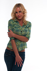 Image showing Green plaid