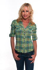 Image showing Green plaid