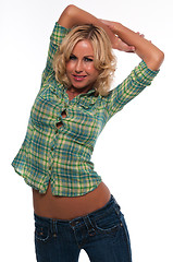 Image showing Green plaid