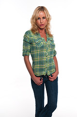 Image showing Green plaid