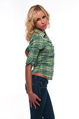 Image showing Green plaid