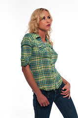 Image showing Green plaid